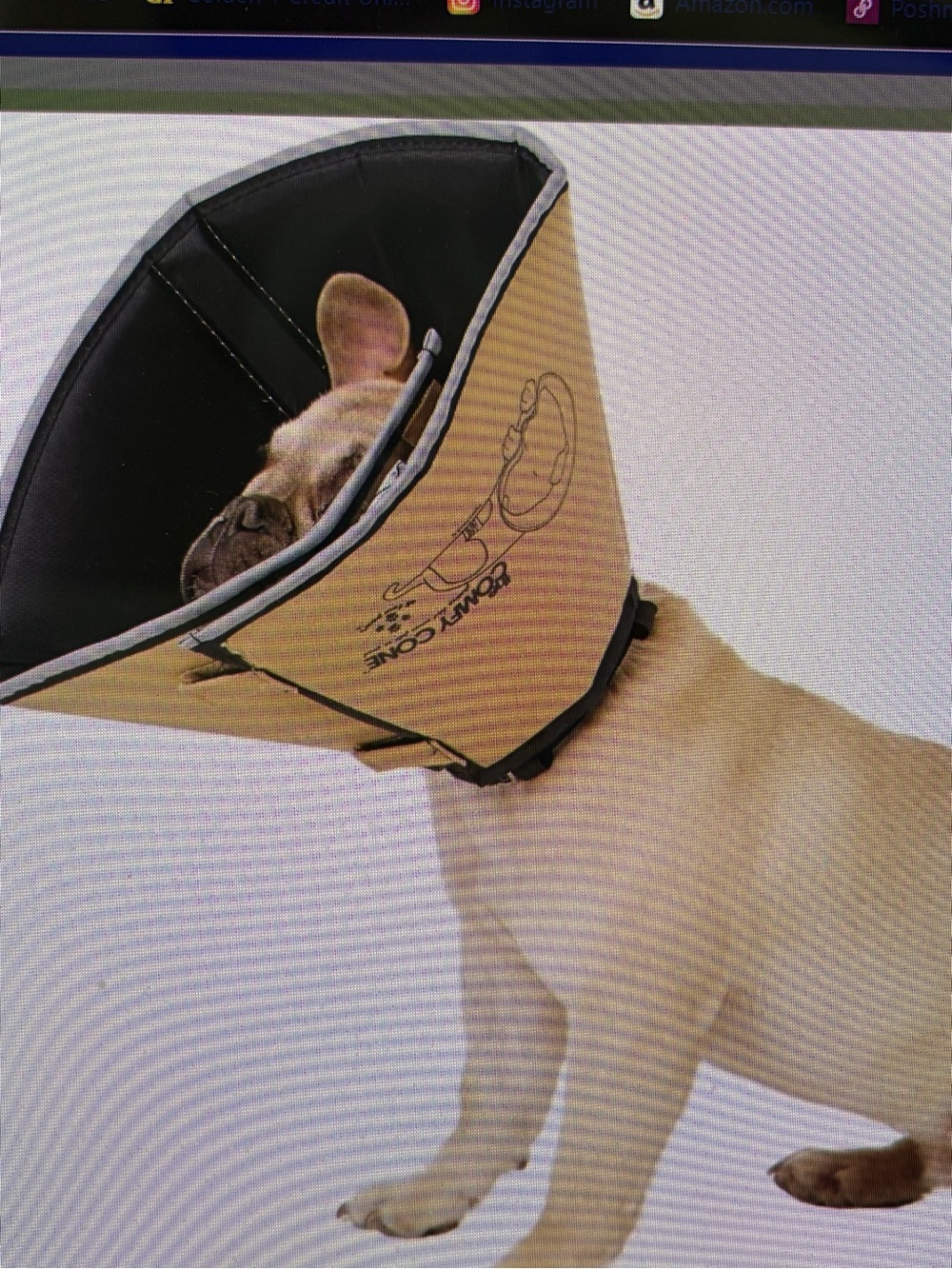 Tan Medium Dog Recovery Collar NWT - Picture 2 of 2
